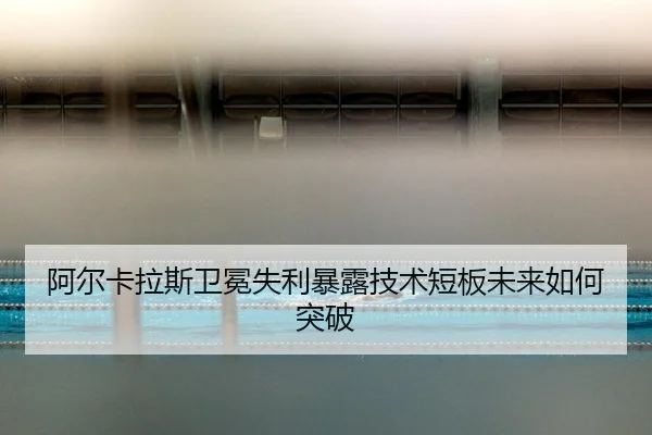 a-er-ka-la-si-wei-mian-shi-li-bao-lu-ji-shu-duan-ban-wei-lai-ru-he-tu-po-3-440.jpg