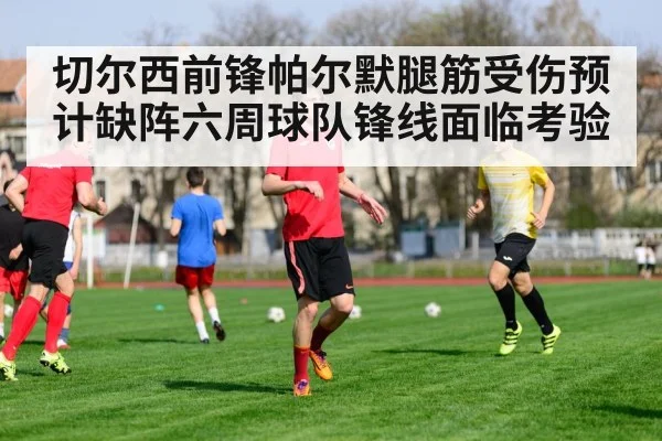 切尔西前锋帕尔默腿筋受伤预计缺阵六周球队锋线面临考验